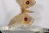  ( - BC-TB2381)  @11 [ ] Copyright (2010) Unspecified Research Collection of Thierry Bouyer