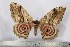  ( - BC-TB2388)  @12 [ ] Copyright (2010) Unspecified Research Collection of Thierry Bouyer