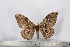  ( - BC-TB2389)  @12 [ ] Copyright (2010) Unspecified Research Collection of Thierry Bouyer