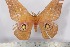  ( - BC-TB2417)  @13 [ ] Copyright (2010) Unspecified Research Collection of Thierry Bouyer