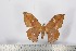  ( - BC-TB2426)  @13 [ ] Copyright (2010) Unspecified Research Collection of Thierry Bouyer
