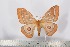  ( - BC-TB2448)  @13 [ ] Copyright (2010) Unspecified Research Collection of Thierry Bouyer