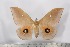  ( - BC-TB2493)  @11 [ ] Copyright (2010) Unspecified Research Collection of Thierry Bouyer