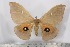  ( - BC-TB2494)  @11 [ ] Copyright (2010) Unspecified Research Collection of Thierry Bouyer