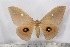  ( - BC-TB2495)  @11 [ ] Copyright (2010) Unspecified Research Collection of Thierry Bouyer