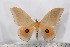  ( - BC-TB2496)  @11 [ ] Copyright (2010) Unspecified Research Collection of Thierry Bouyer