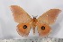  ( - BC-TB2499)  @11 [ ] Copyright (2010) Unspecified Research Collection of Thierry Bouyer