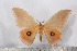  ( - BC-TB2500)  @11 [ ] Copyright (2010) Unspecified Research Collection of Thierry Bouyer