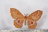  ( - BC-TB2504)  @14 [ ] Copyright (2010) Unspecified Research Collection of Thierry Bouyer