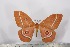  ( - BC-TB2505)  @11 [ ] Copyright (2010) Unspecified Research Collection of Thierry Bouyer