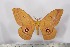  ( - BC-TB2506)  @14 [ ] Copyright (2010) Unspecified Research Collection of Thierry Bouyer