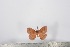  ( - BC-TB2517)  @12 [ ] Copyright (2010) Unspecified Research Collection of Thierry Bouyer