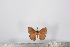  ( - BC-TB2520)  @12 [ ] Copyright (2010) Unspecified Research Collection of Thierry Bouyer