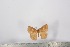  ( - BC-TB2533)  @12 [ ] Copyright (2010) Unspecified Research Collection of Thierry Bouyer
