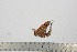  ( - BC-TB2571)  @13 [ ] Copyright (2010) Unspecified Research Collection of Thierry Bouyer