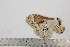  ( - BC-TB2580)  @12 [ ] Copyright (2010) Unspecified Research Collection of Thierry Bouyer