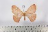  ( - BC-TB2583)  @13 [ ] Copyright (2010) Unspecified Research Collection of Thierry Bouyer