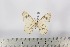  ( - BC-TB2585)  @13 [ ] Copyright (2010) Unspecified Research Collection of Thierry Bouyer