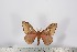  ( - BC-TB2631)  @12 [ ] Copyright (2010) Unspecified Research Collection of Thierry Bouyer