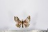  ( - BC-TB2708)  @12 [ ] Copyright (2010) Unspecified Research Collection of Thierry Bouyer