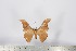  ( - BC-TB2821)  @12 [ ] Copyright (2010) Unspecified Research Collection of Thierry Bouyer