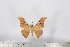  ( - BC-TB2822)  @13 [ ] Copyright (2010) Unspecified Research Collection of Thierry Bouyer