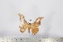  ( - BC-TB2823)  @12 [ ] Copyright (2010) Unspecified Research Collection of Thierry Bouyer