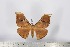  ( - BC-TB2837)  @13 [ ] Copyright (2010) Unspecified Research Collection of Thierry Bouyer