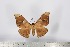  ( - BC-TB2839)  @13 [ ] Copyright (2010) Unspecified Research Collection of Thierry Bouyer