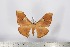  ( - BC-TB2840)  @13 [ ] Copyright (2010) Unspecified Research Collection of Thierry Bouyer