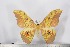  ( - BC-TB2944)  @14 [ ] Copyright (2010) Unspecified Research Collection of Thierry Bouyer