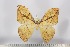  ( - BC-TB2956)  @13 [ ] Copyright (2010) Unspecified Research Collection of Thierry Bouyer
