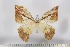  ( - BC-TB2958)  @13 [ ] Copyright (2010) Unspecified Research Collection of Thierry Bouyer