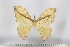  ( - BC-TB2959)  @13 [ ] Copyright (2010) Unspecified Research Collection of Thierry Bouyer