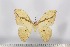  ( - BC-TB2960)  @13 [ ] Copyright (2010) Unspecified Research Collection of Thierry Bouyer