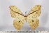  ( - BC-TB2998)  @13 [ ] Copyright (2010) Unspecified Research Collection of Thierry Bouyer