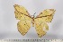  ( - BC-TB2999)  @13 [ ] Copyright (2010) Unspecified Research Collection of Thierry Bouyer