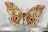  ( - BC-TB3038)  @13 [ ] Copyright (2010) Unspecified Research Collection of Thierry Bouyer