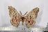  ( - BC-TB3040)  @11 [ ] Copyright (2010) Unspecified Research Collection of Thierry Bouyer