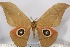  ( - BC-TB3080)  @13 [ ] Copyright (2010) Unspecified Research Collection of Thierry Bouyer