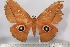  ( - BC-TB3082)  @11 [ ] Copyright (2010) Unspecified Research Collection of Thierry Bouyer