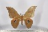  ( - BC-TB3087)  @13 [ ] Copyright (2010) Unspecified Research Collection of Thierry Bouyer