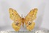  ( - BC-TB3098)  @11 [ ] Copyright (2010) Unspecified Research Collection of Thierry Bouyer