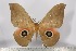  ( - BC-TB3099)  @13 [ ] Copyright (2010) Unspecified Research Collection of Thierry Bouyer