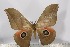  ( - BC-TB3103)  @13 [ ] Copyright (2010) Unspecified Research Collection of Thierry Bouyer