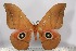  ( - BC-TB3106)  @14 [ ] Copyright (2010) Unspecified Research Collection of Thierry Bouyer