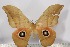  ( - BC-TB3110)  @12 [ ] Copyright (2010) Unspecified Research Collection of Thierry Bouyer