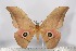  ( - BC-TB3112)  @14 [ ] Copyright (2010) Unspecified Research Collection of Thierry Bouyer