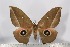  ( - BC-TB3115)  @13 [ ] Copyright (2010) Unspecified Research Collection of Thierry Bouyer