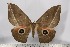  ( - BC-TB3119)  @14 [ ] Copyright (2010) Unspecified Research Collection of Thierry Bouyer